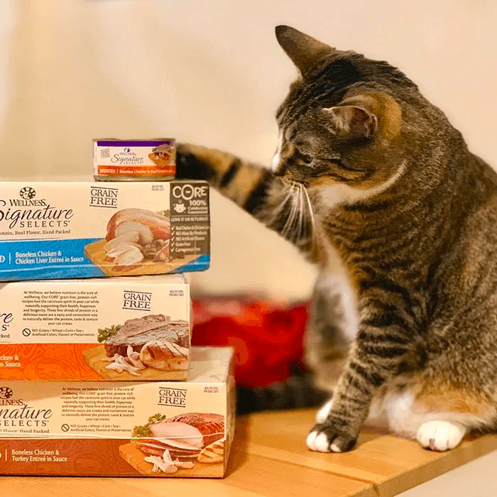 WELLNESS Core Signature Selects Wet Cat Food Chicken & Liver 79GX12 - Sparklet