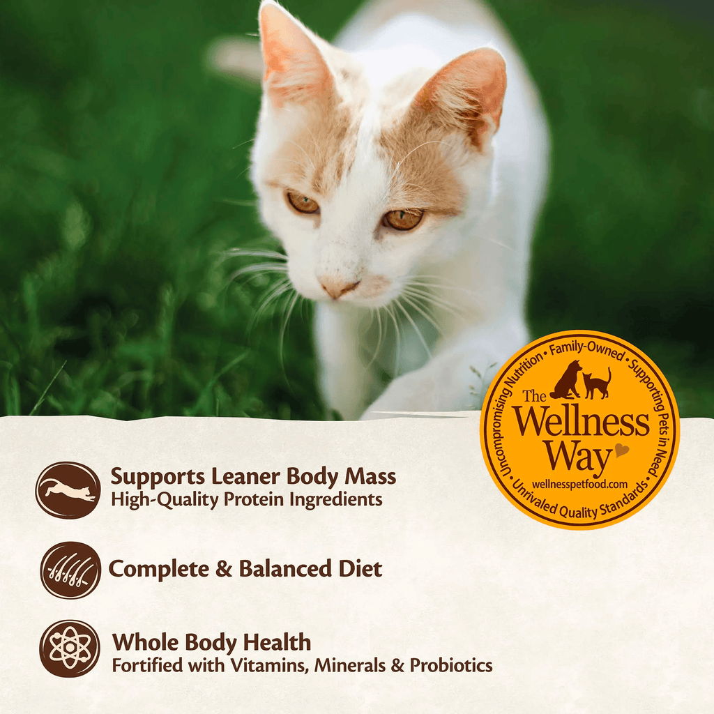 WELLNESS Core Signature Selects Wet Cat Food Poultry Variety 79GX8 - Sparklet