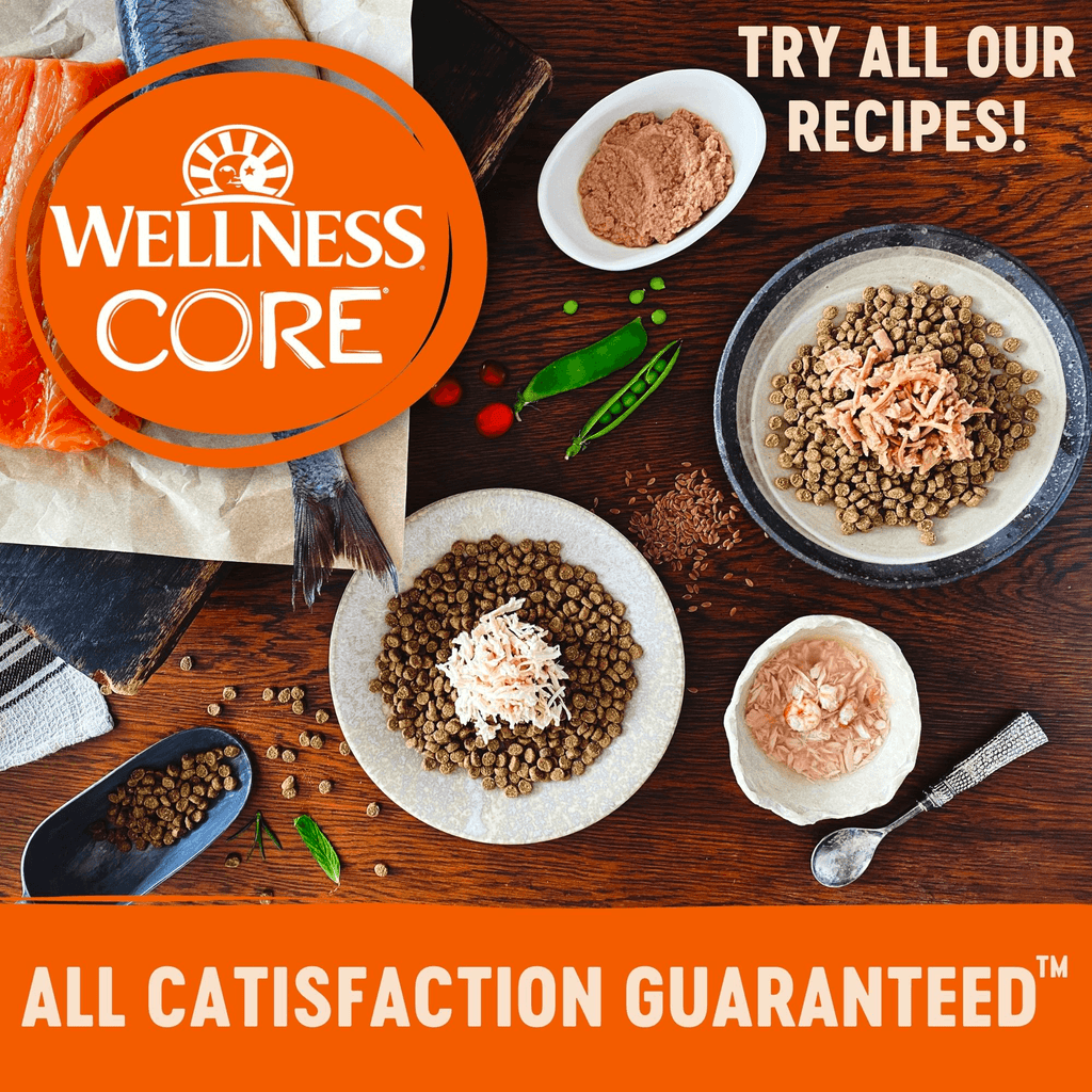 WELLNESS Core Tender Cuts Wet Cat Food Chicken & Liver 85GX8 - Sparklet