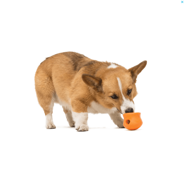 WEST PAW Toppl Treat Dispensing Wobbling Dog Toy & Food Bowl - Orange - Sparklet