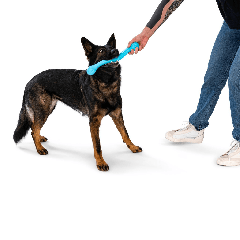 WEST PAW Zwig Tug & Fetch Stick Dog Toy - Sparklet