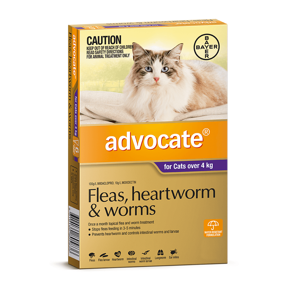 ADVOCATE Cat Large Over 4KG - 3 Pack - Sparklet