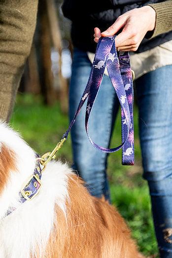 ANIPAL Billie the Bilby Collar (Made from recycled plastic) L - Sparklet