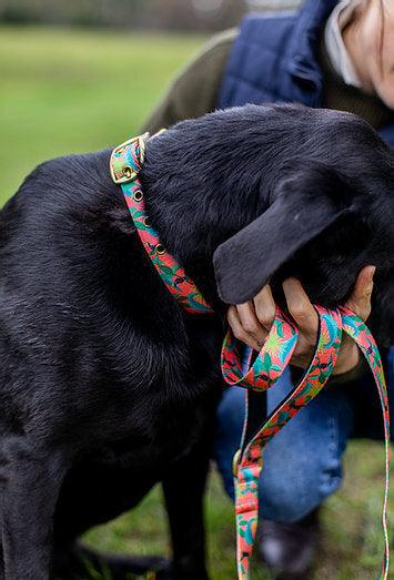 ANIPAL Clancy the Black Cockatoo Collar (Made from recycled plastic) L - Sparklet