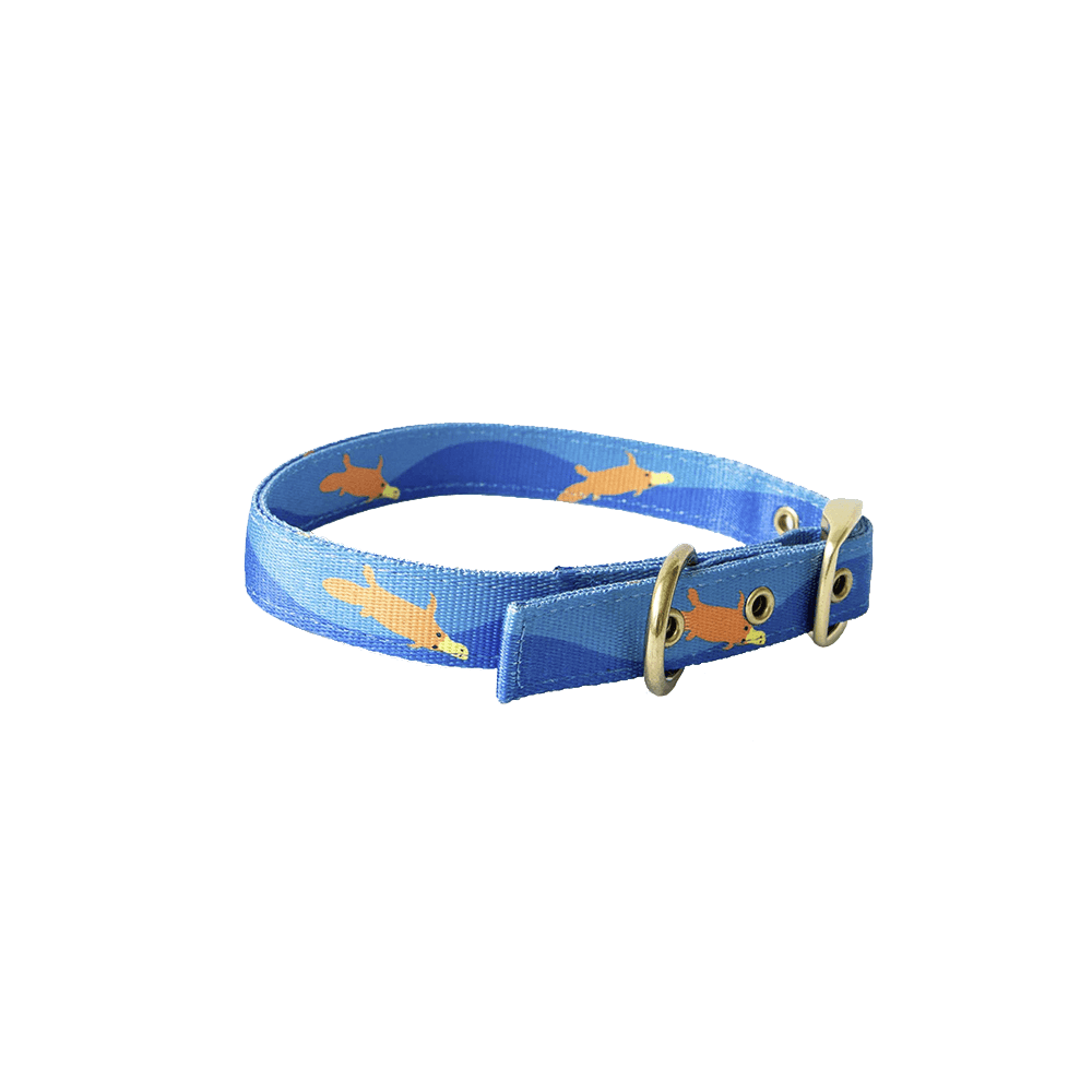 ANIPAL Piper The Platypus Collar (Made from recycled plastic) M - Sparklet