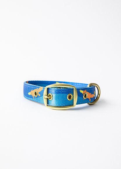 ANIPAL Piper The Platypus Collar (Made from recycled plastic) S - Sparklet