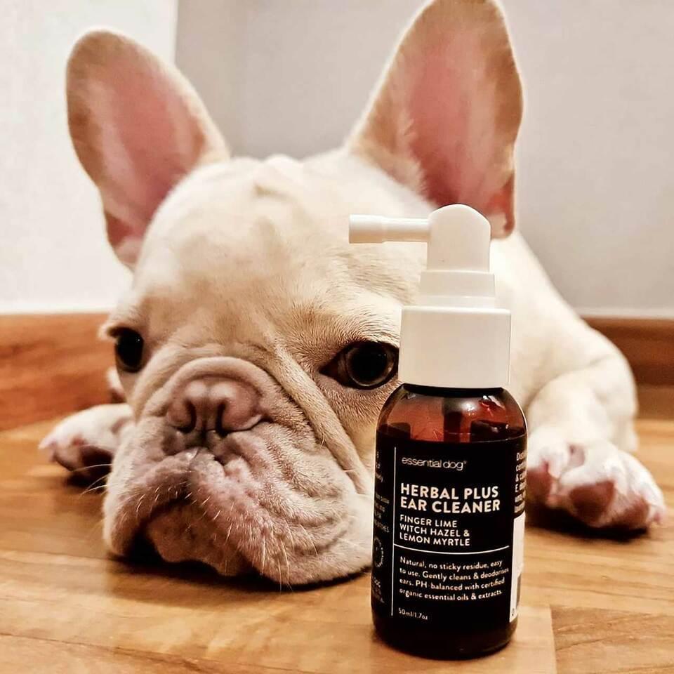 ESSENTIAL DOG Herbal Ear Cleaner 50ML - Sparklet