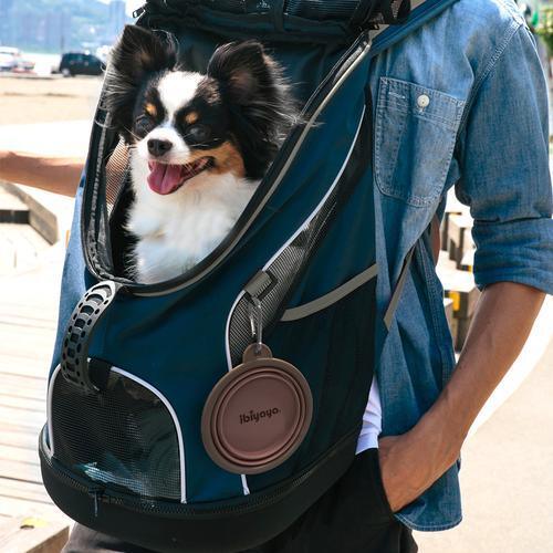 IBIYAYA Quick Bite Collapsible Travel Pet Bowl - Brown/Aubergine - Sparklet