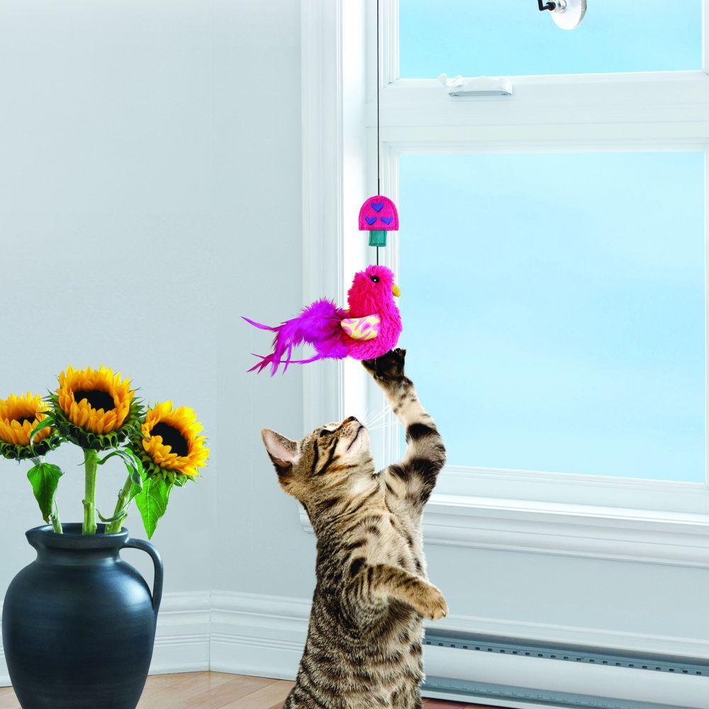 KONG Connects Window Teaser Cat Toy (Random Colour) - Sparklet