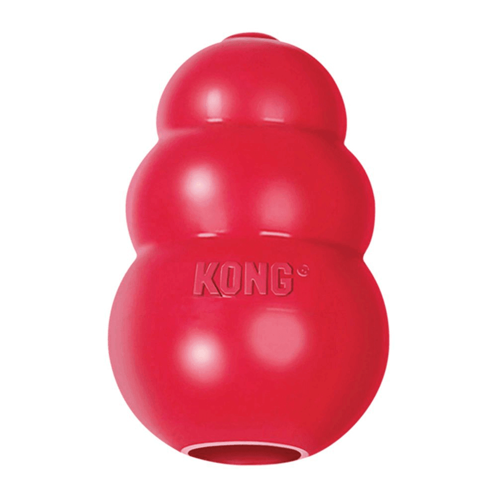 KONG Dog Toy Classic L - Sparklet