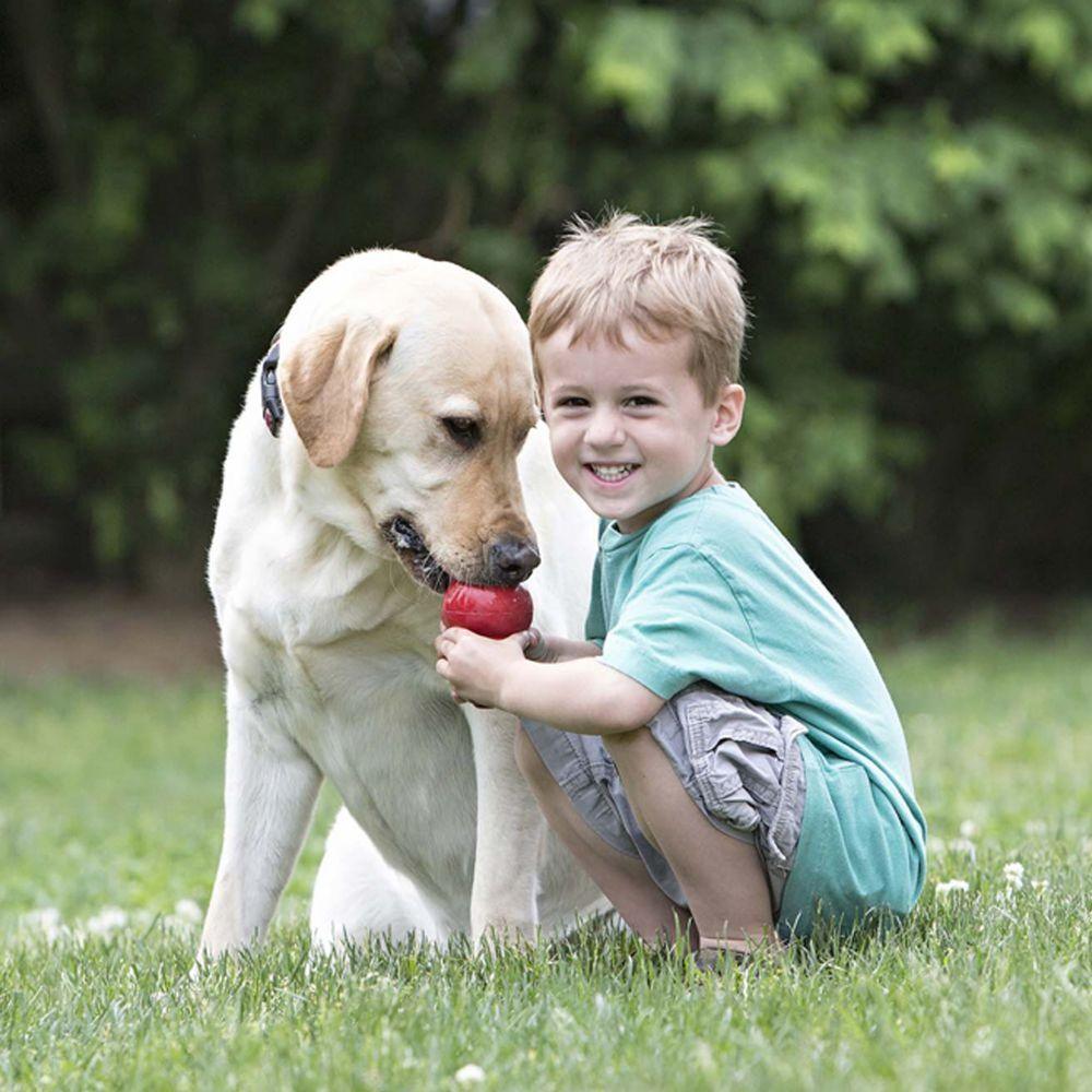 KONG Dog Toy Classic L - Sparklet