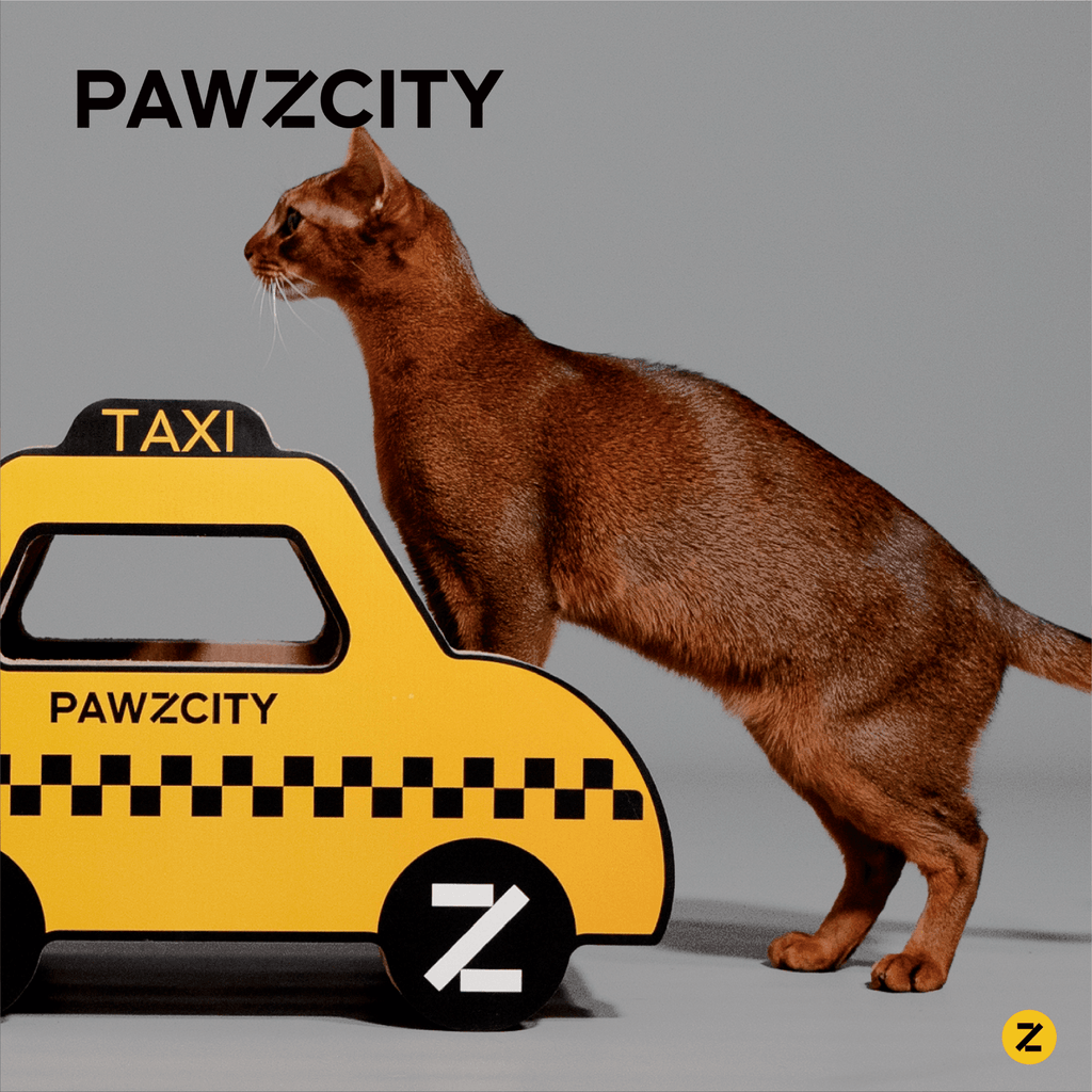 PAWZCITY Cat Scratcher Board - Taxi - Sparklet