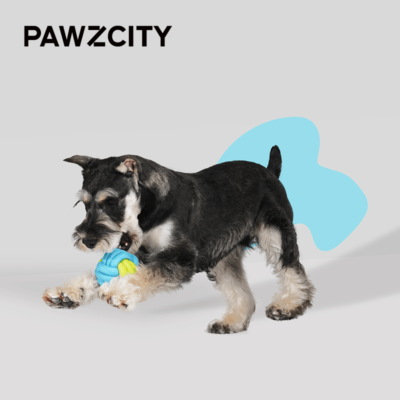 PAWZCITY Interactive Rope Ball - Flamingo - Sparklet