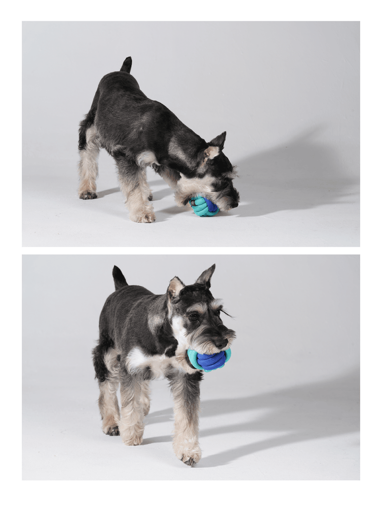 PAWZCITY Interactive Rope Ball - Flamingo - Sparklet