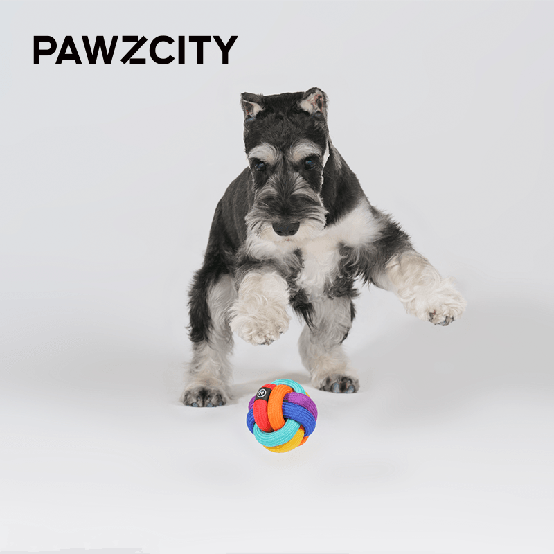 PAWZCITY Interactive Rope Ball - Rainbow Dare To Love - Sparklet