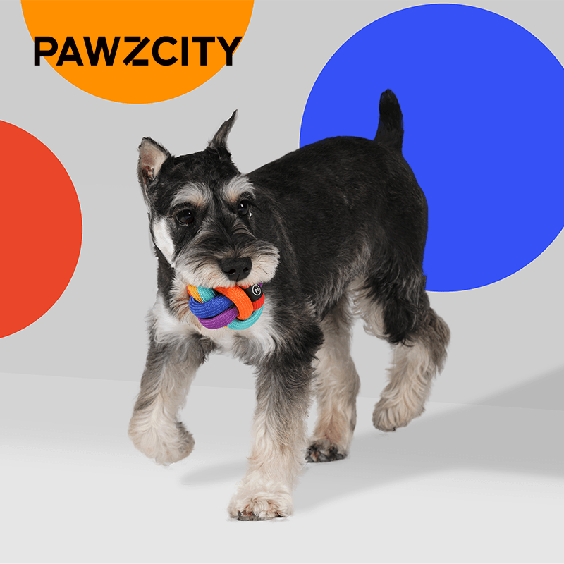 PAWZCITY Interactive Rope Ball - Rainbow Dare To Love - Sparklet