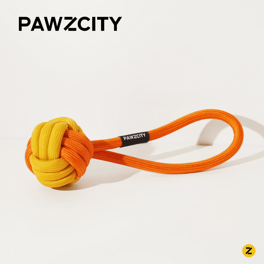 PAWZCITY Interactive Rope Ball With Loop - Bergamot - Sparklet