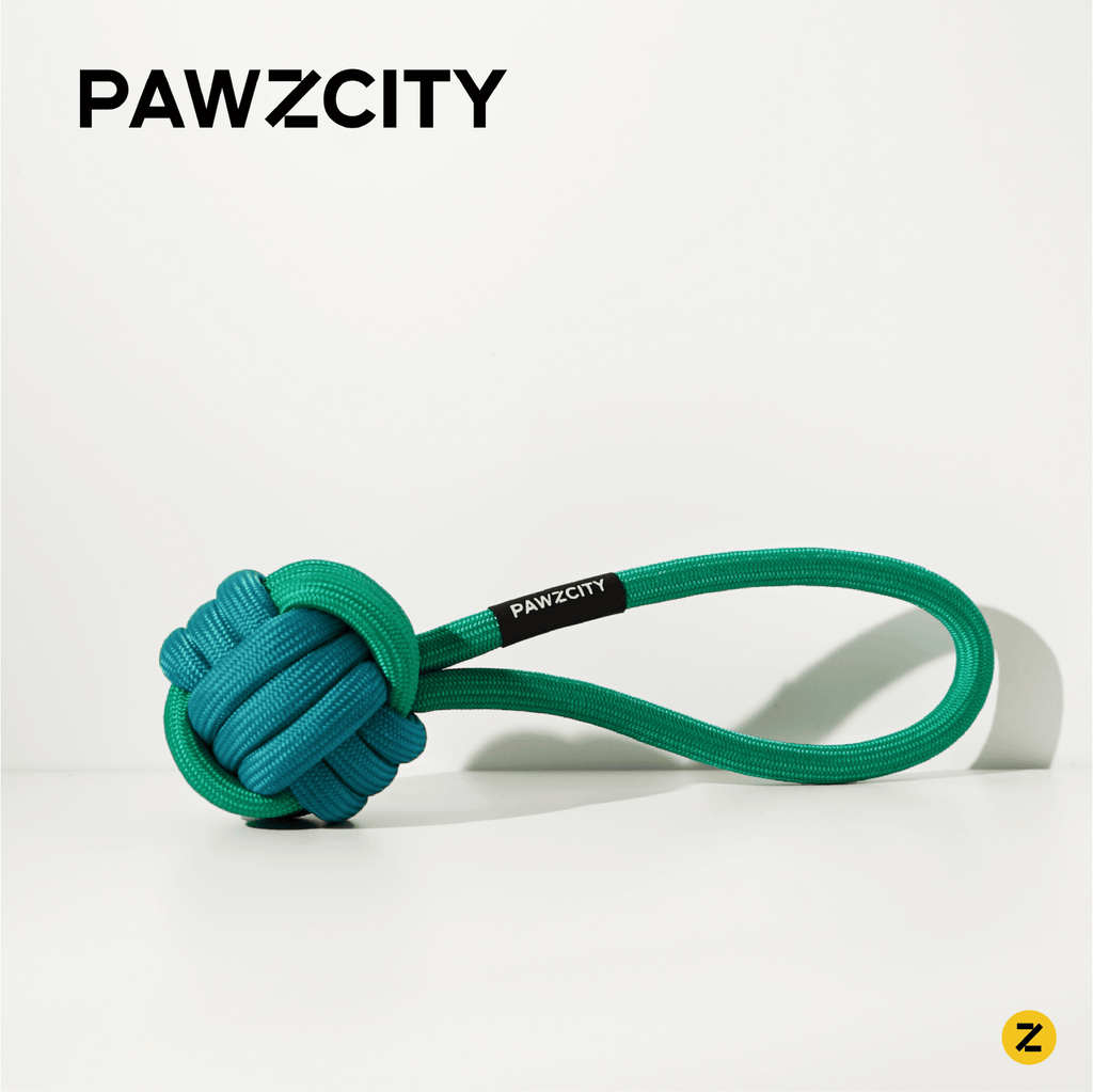 PAWZCITY Interactive Rope Ball With Loop - Cucumber - Sparklet