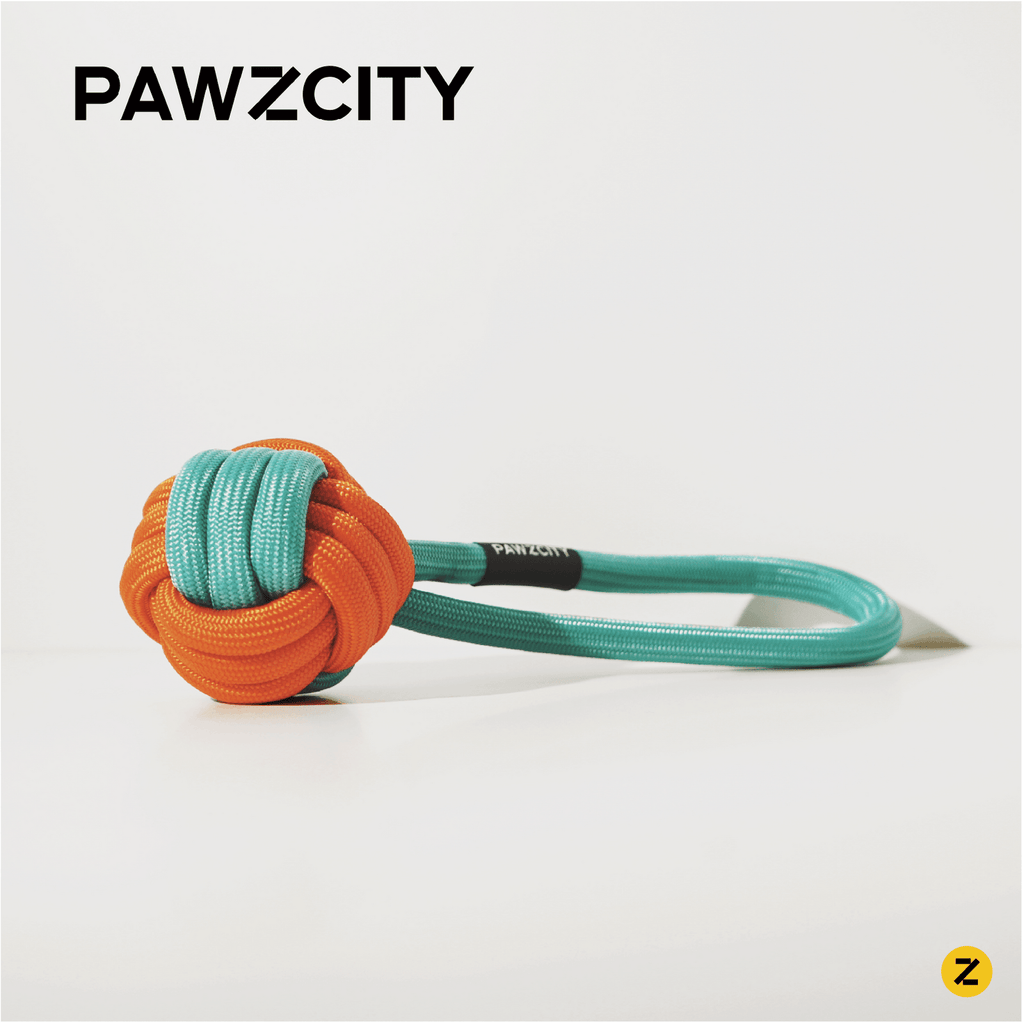 PAWZCITY Interactive Rope Ball With Loop - Rockmelon - Sparklet