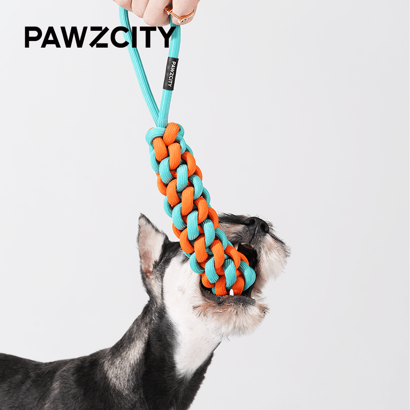 PAWZCITY Interactive Rope Stick With Loop - Bergamot - Sparklet