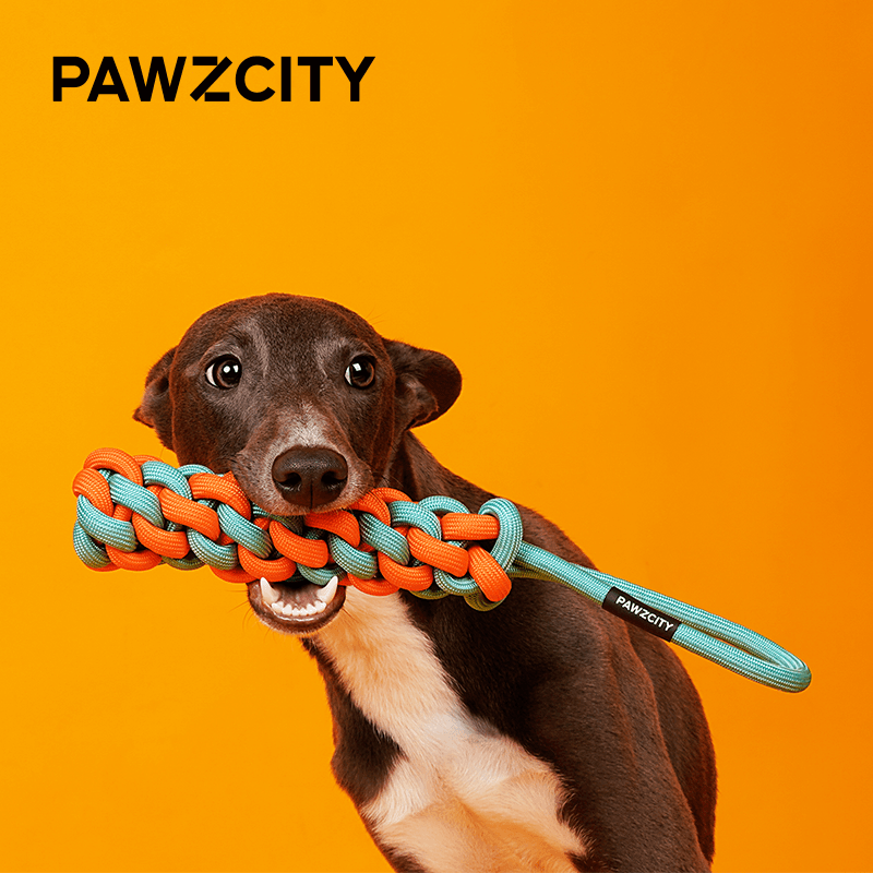 PAWZCITY Interactive Rope Stick With Loop - Bergamot - Sparklet