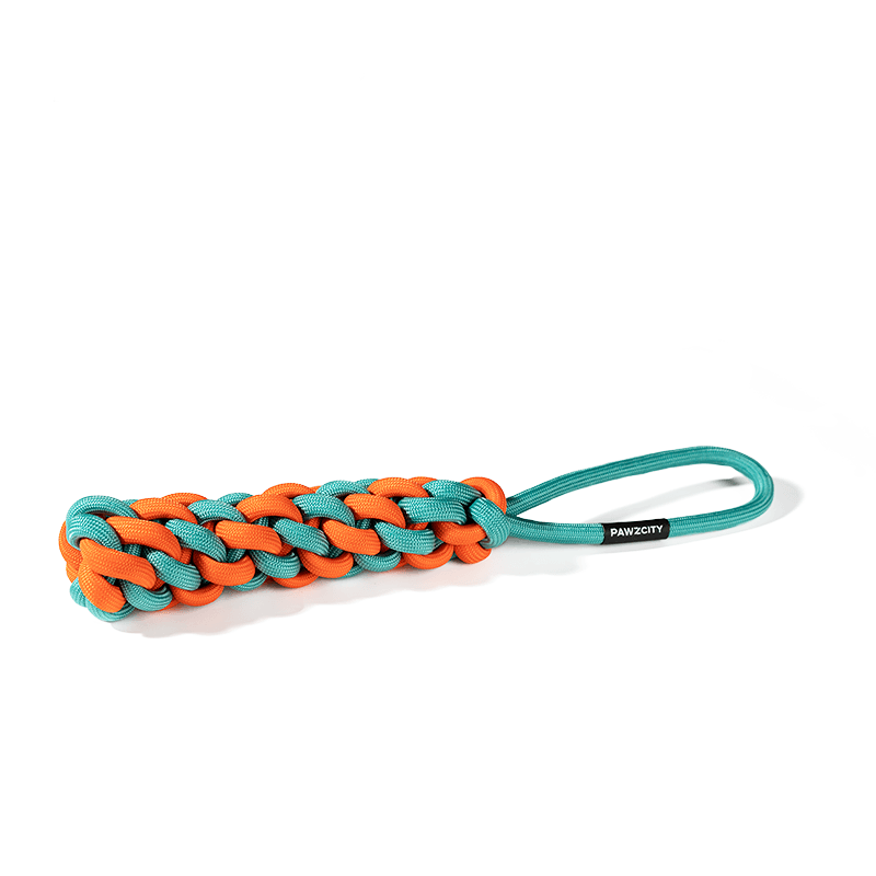 PAWZCITY Interactive Rope Stick With Loop - Rockmelon - Sparklet