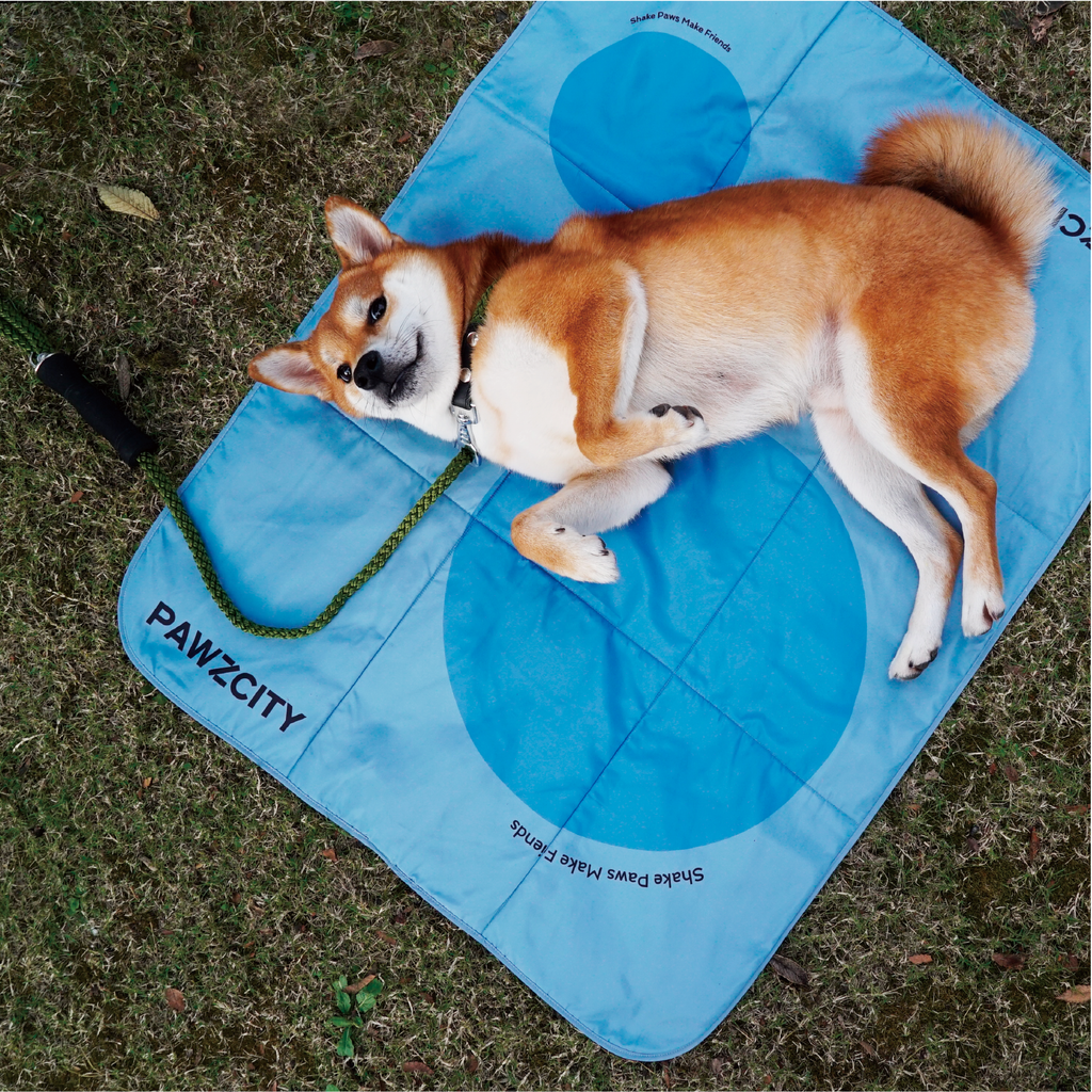 PAWZCITY Waterproof Travel Mat - Miami Blue - Sparklet