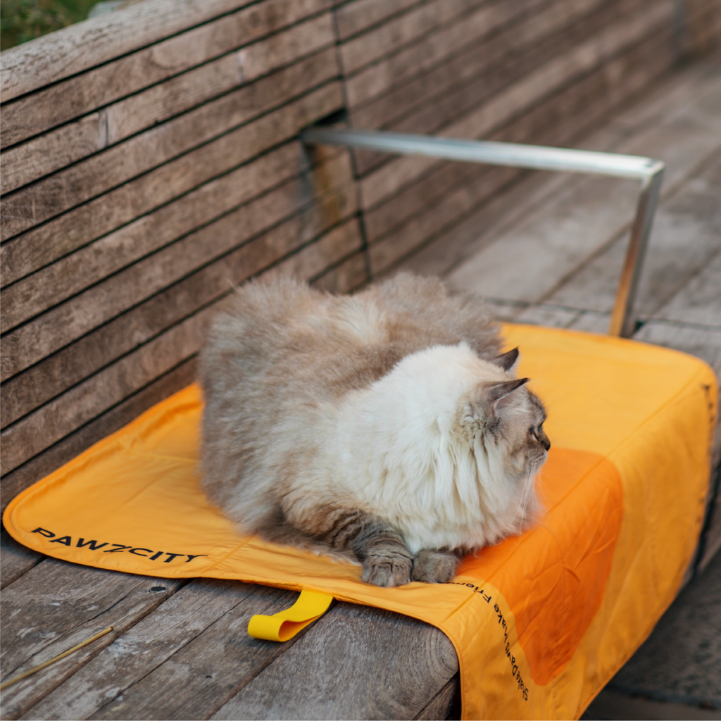 PAWZCITY Waterproof Travel Mat - Sunrise - Sparklet