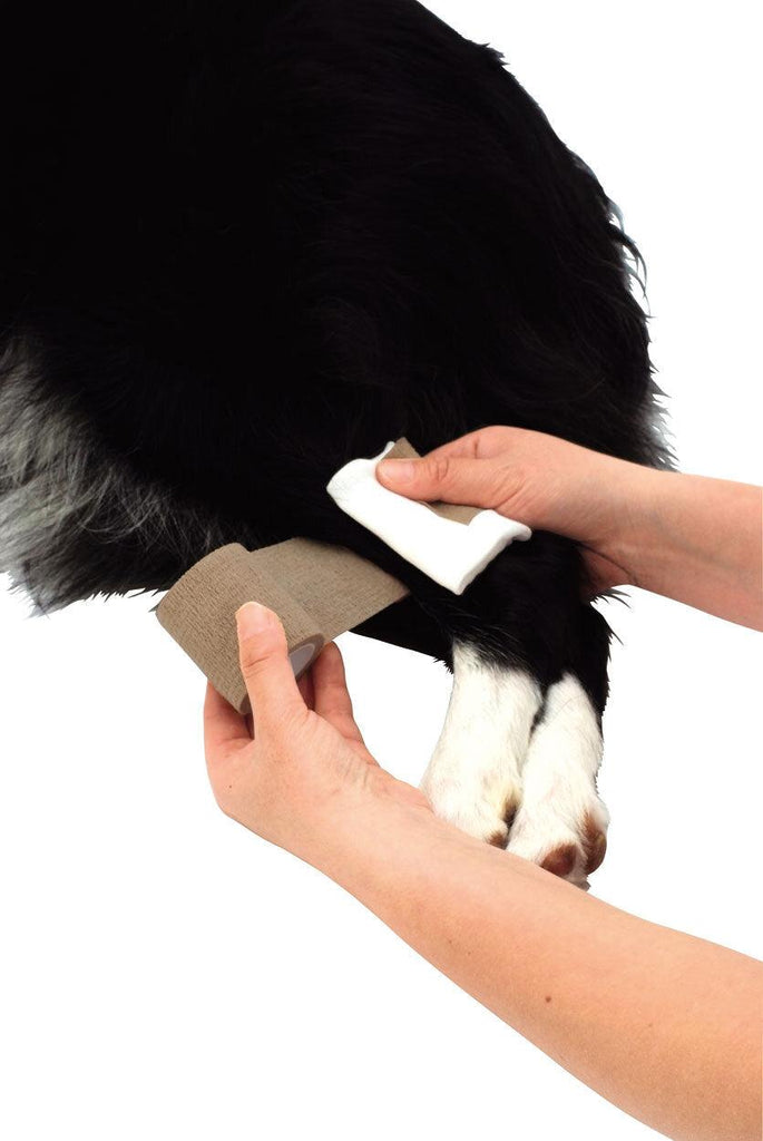 PETIO Zuttone Elastic Bandage Roll For Pets - Sparklet