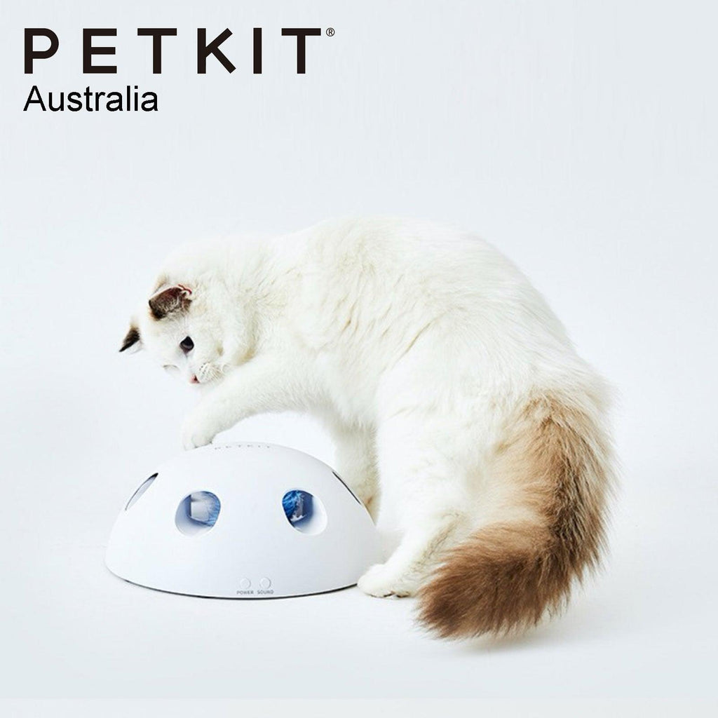 PETKIT Eletric Magic Dome Cat Toy - Sparklet