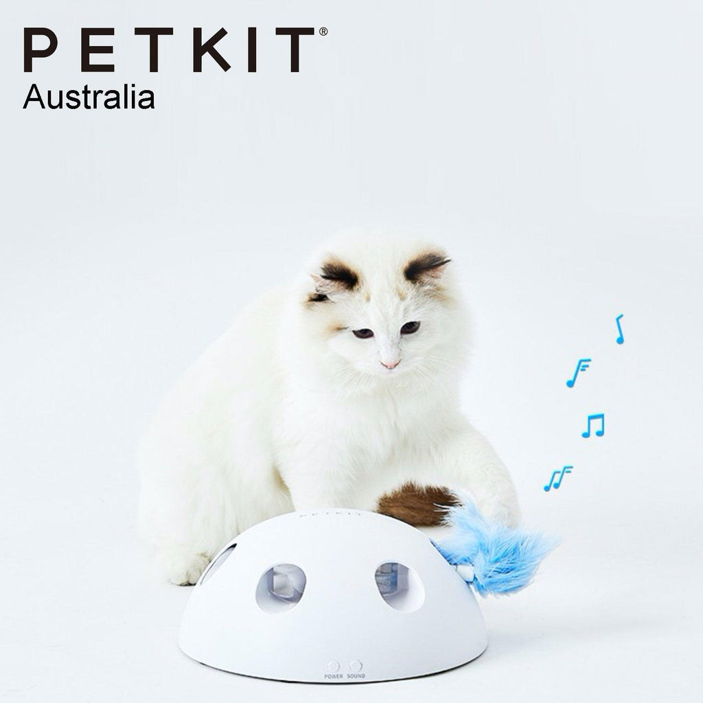 PETKIT Eletric Magic Dome Cat Toy - Sparklet