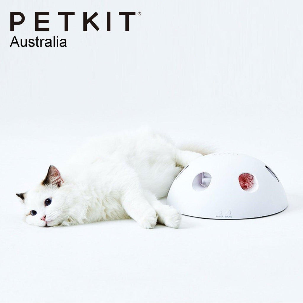 PETKIT Eletric Magic Dome Cat Toy - Sparklet