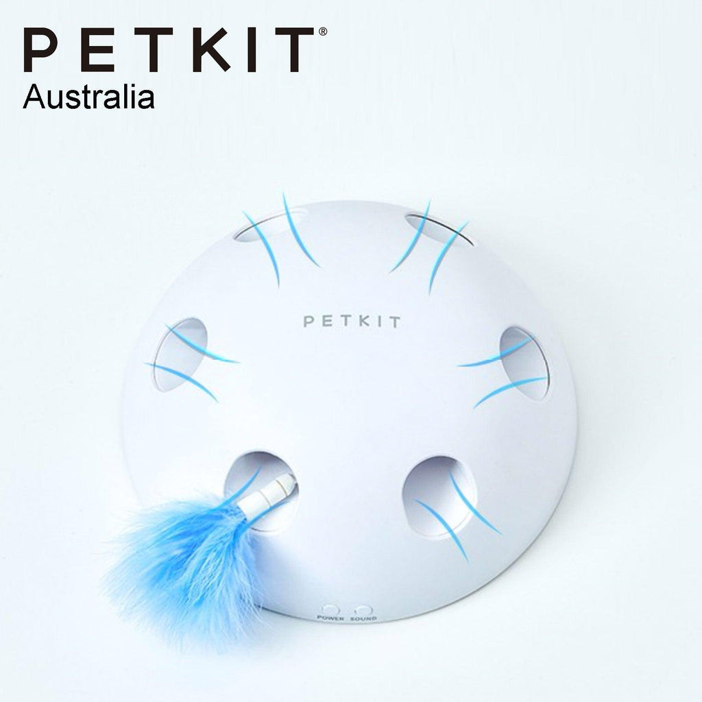 PETKIT Eletric Magic Dome Cat Toy - Sparklet