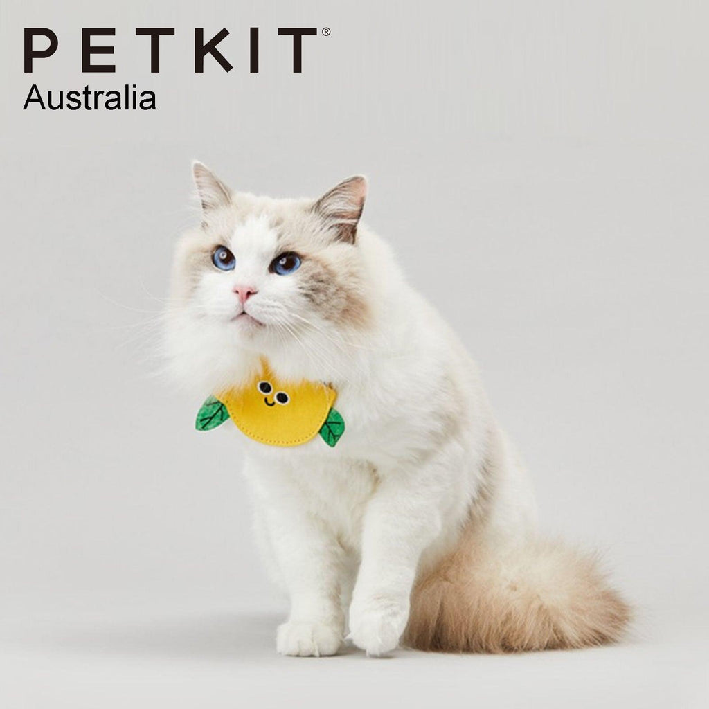 PETKIT Pet Saliva Towel Collars - Lemon - Sparklet