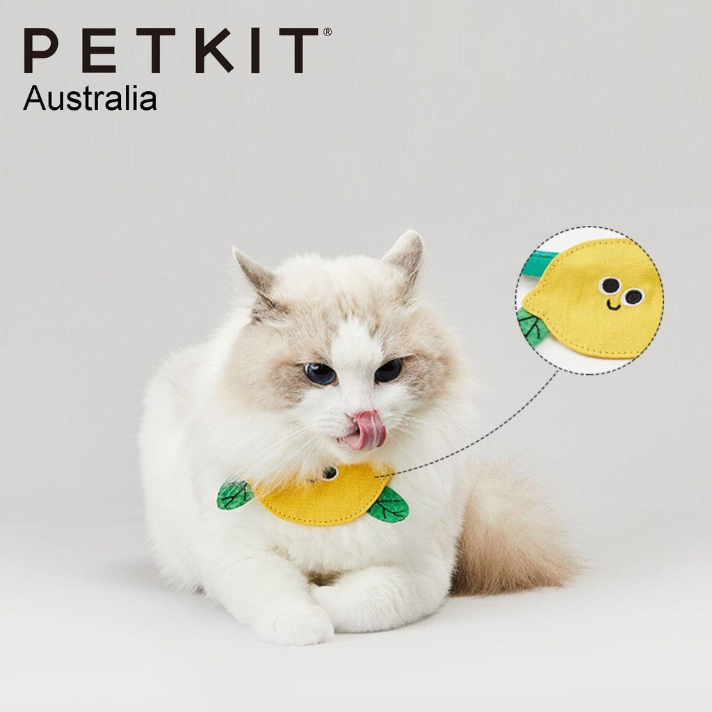 PETKIT Pet Saliva Towel Collars - Lemon - Sparklet