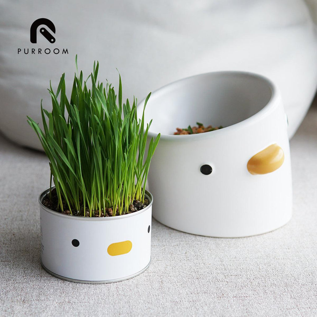 PURROOM Cat Grass - Chick - Sparklet