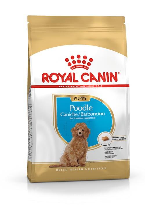 ROYAL CANIN Poodle Junior Puppy 3KG - Sparklet