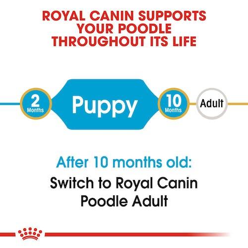 ROYAL CANIN Poodle Junior Puppy 3KG - Sparklet