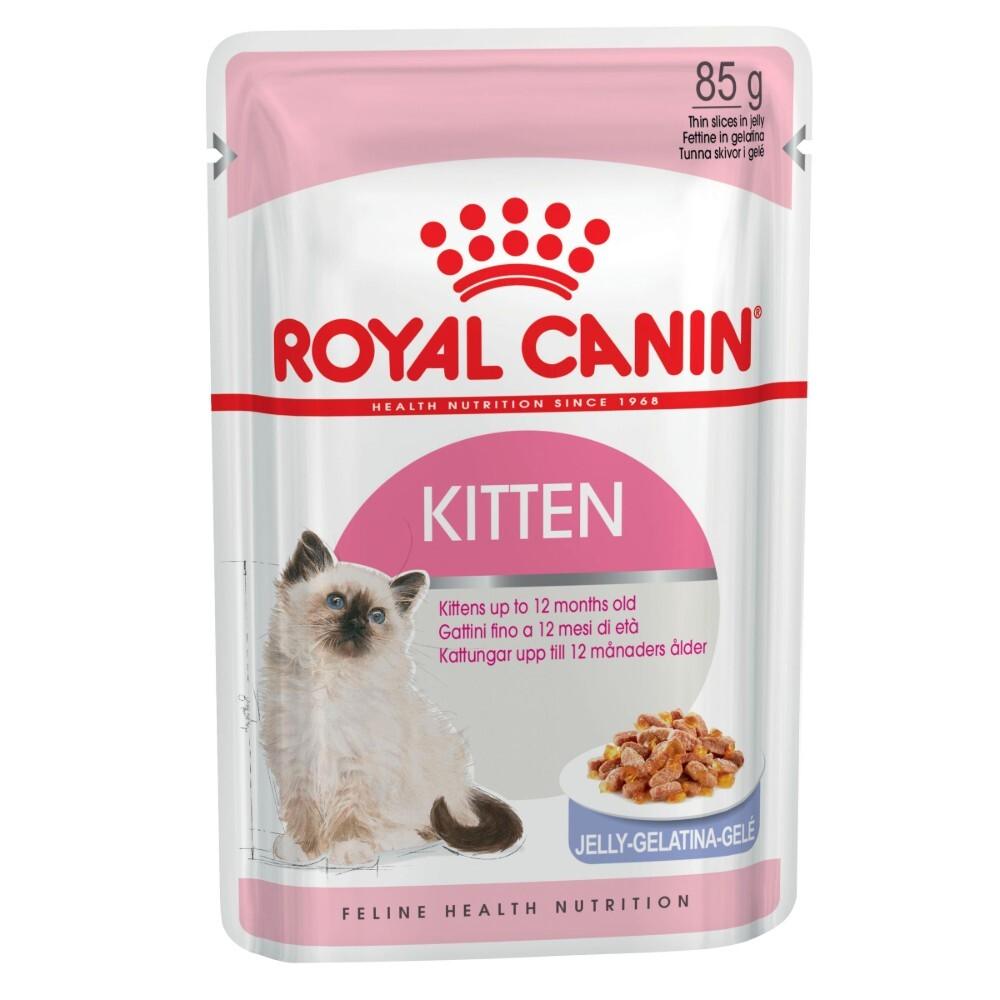 ROYAL CANIN Wet Cat Food Kitten Jelly Pouches - Sparklet